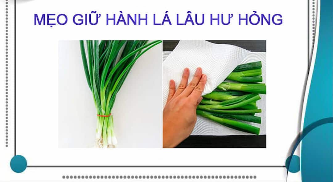 Bọc hành lá vào khăn giấy ẩm là cách bảo quản hành lá hiệu quả nhất