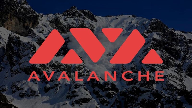 Cấu trúc của Avalanche hoạt động như thế nào