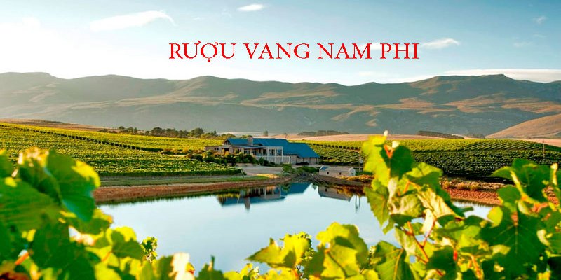 Rượu vang Nam Phi